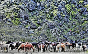 Фотография под названием "Rock and Horses. Ic…" - Boris Davidovich, Подлинное произведение искусства