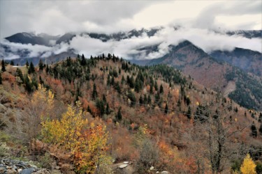 Фотография под названием "Autumn. Caucasus. N…" - Boris Davidovich, Подлинное произведение искусства