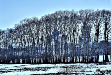 Фотография под названием "Winter. N1. Russia" - Boris Davidovich, Подлинное произведение искусства