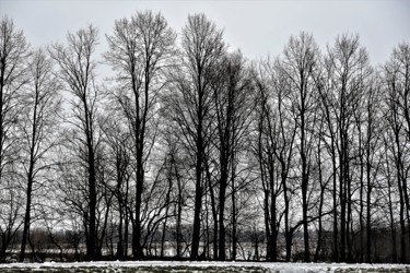 Фотография под названием "Winter. N2. Russia" - Boris Davidovich, Подлинное произведение искусства
