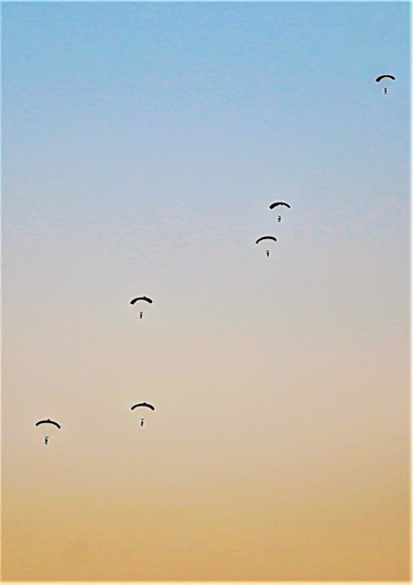 Photography titled "Parachuters. Israel" by Boris Davidovich, Original Artwork