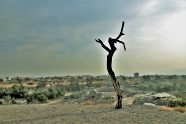Фотография под названием ""Trees with difficu…" - Boris Davidovich, Подлинное произведение искусства, Цифровая фотография