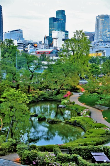 Photography titled "Tokyo. N8. Japan" by Boris Davidovich, Original Artwork, Digital Photography