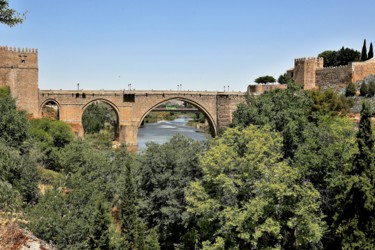 Фотография под названием "Alcantara Bridge. T…" - Boris Davidovich, Подлинное произведение искусства