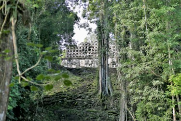 Photographie intitulée "Yaxchilan. #2. Mexi…" par Boris Davidovich, Œuvre d'art originale, Photographie numérique