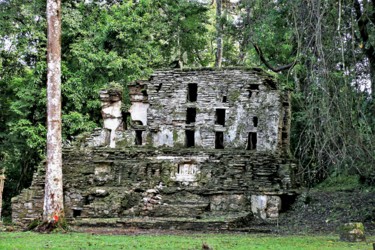 Фотография под названием "Yaxchilan. #3. Mexi…" - Boris Davidovich, Подлинное произведение искусства, Цифровая фотография