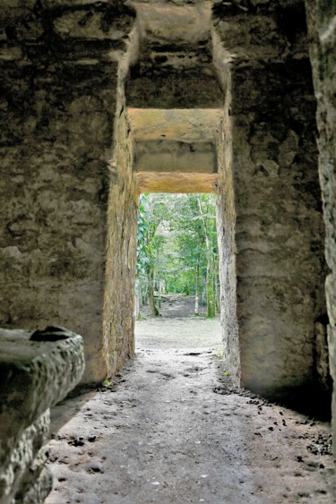 Photographie intitulée "Yaxchilan. #4. Mexi…" par Boris Davidovich, Œuvre d'art originale, Photographie numérique