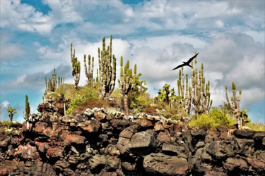 Фотография под названием "Galapagos Islands.…" - Boris Davidovich, Подлинное произведение искусства, Цифровая фотография