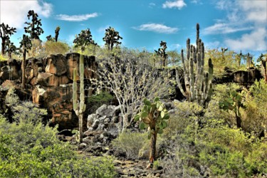 Фотография под названием "Landscape. Galapago…" - Boris Davidovich, Подлинное произведение искусства, Цифровая фотография