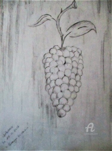Drawing titled "Grappe de raisin" by Roberto Urbano, Original Artwork, Pencil