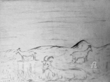 Zeichnungen mit dem Titel "Chèvres en Ardèche" von Roberto Urbano, Original-Kunstwerk, Bleistift