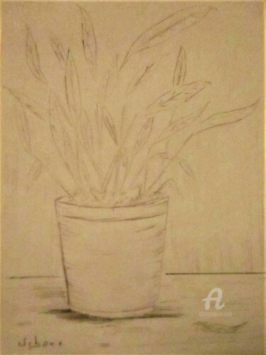 Rysunek zatytułowany „Plante verte.” autorstwa Roberto Urbano, Oryginalna praca, Ołówek