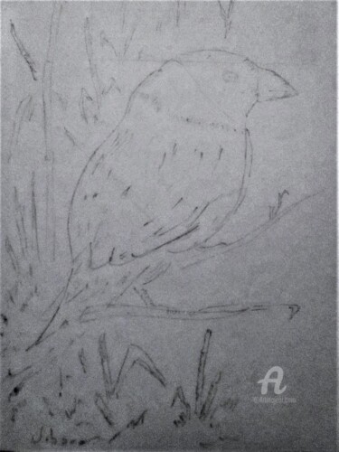 Dessin intitulée "L' oiseau bleu." par Roberto Urbano, Œuvre d'art originale, Crayon