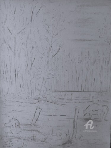 Drawing titled "La campagne CHTI" by Roberto Urbano, Original Artwork, Pencil