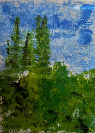 Pittura intitolato "Terre sauvage" da Roberto Urbano, Opera d'arte originale, Acrilico