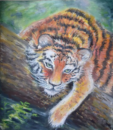 Pintura intitulada "Tiger" por Bogdalena Bah, Obras de arte originais, Óleo Montado em artwork_cat.