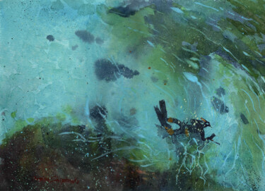 Painting titled "Diver" by Bogdan Shiptenko, Original Artwork, Watercolor
