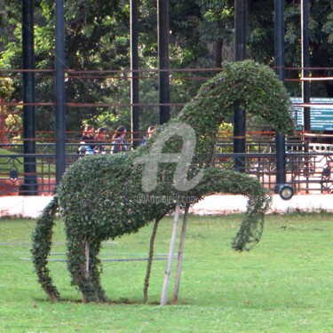 Photographie intitulée "cheval végétal" par Jean Louis Boguet, Œuvre d'art originale