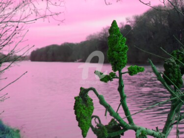 Fotografia intitulada "Si l'eau était rose!" por Jean Louis Boguet, Obras de arte originais