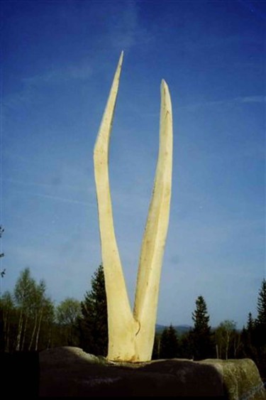 Sculpture titled "duo" by Bohdan Jackiewicz, Original Artwork