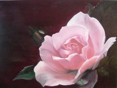 Pittura intitolato "rosa" da Mihaela Mihailovici, Opera d'arte originale, Olio