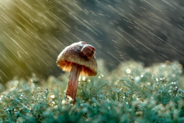 "Under rain" başlıklı Fotoğraf Ekaterina Bokova tarafından, Orijinal sanat, Fotoşoplu fotoğrafçılık