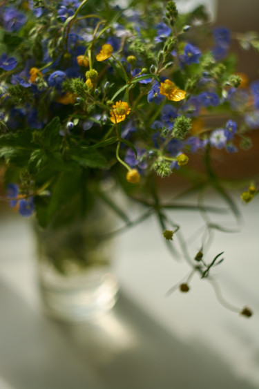 Фотография под названием "Wildflowers in a gl…" - Ekaterina Bokova, Подлинное произведение искусства, Цифровая фотография