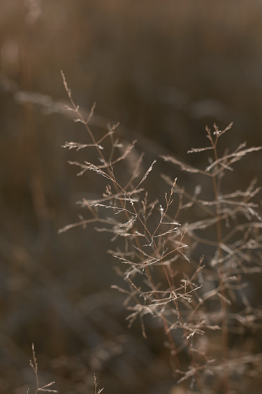 Fotografía titulada "Осень" por Ekaterina Bokova, Obra de arte original, Fotografía digital