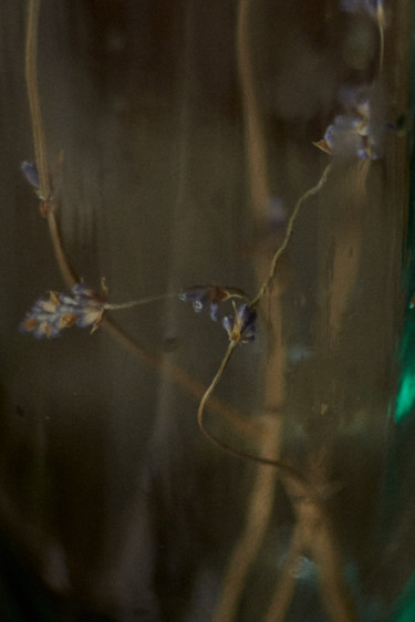 Photography titled "Lavender in a bottle" by Ekaterina Bokova, Original Artwork, Digital Photography