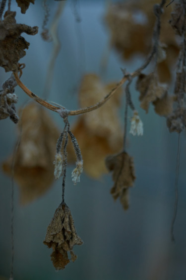 Photographie intitulée "Frozen out of the g…" par Ekaterina Bokova, Œuvre d'art originale, Photographie numérique