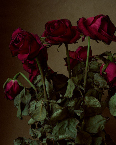 제목이 "Withered roses"인 사진 Ekaterina Bokova로, 원작, 디지털