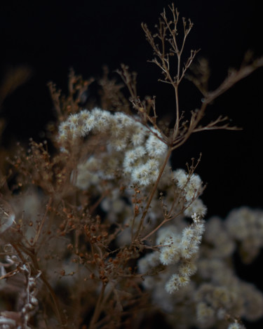 Photographie intitulée "Winter bouquet" par Ekaterina Bokova, Œuvre d'art originale, Photographie numérique