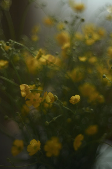 Photographie intitulée "Bouquet de fleurs s…" par Ekaterina Bokova, Œuvre d'art originale, Photographie numérique