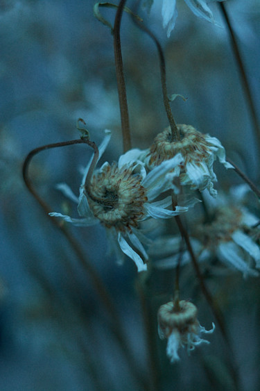 Photographie intitulée "Oubli 6" par Ekaterina Bokova, Œuvre d'art originale, Photographie numérique