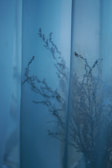 Photographie intitulée "Morning light 1" par Ekaterina Bokova, Œuvre d'art originale, Photographie numérique