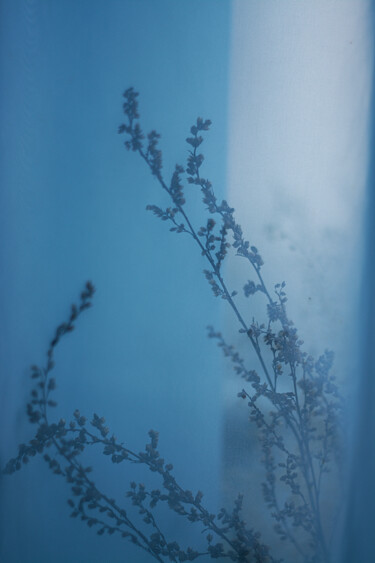 Фотография под названием "Morning light 2" - Ekaterina Bokova, Подлинное произведение искусства, Цифровая фотография
