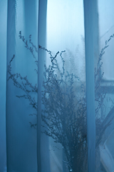Фотография под названием "Morning light 3" - Ekaterina Bokova, Подлинное произведение искусства, Цифровая фотография