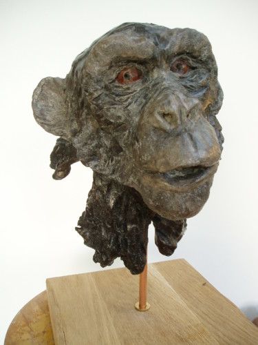 Sculpture intitulée "L'ANCETRE tête de s…" par Nicole Boldo, Œuvre d'art originale, Terre cuite