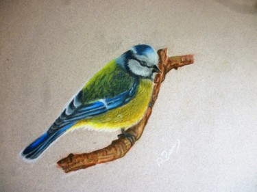 Desenho intitulada "Bird" por Bom Art, Obras de arte originais, Pastel