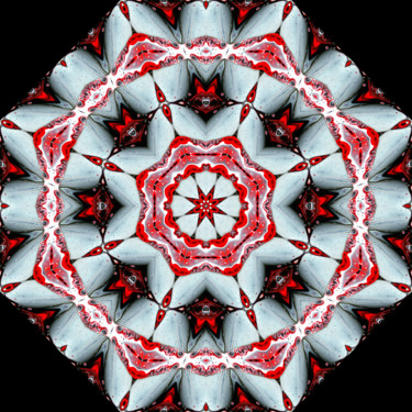 Digitale Kunst getiteld "Mandala №6" door Andrei Bondarenko, Origineel Kunstwerk, Acryl