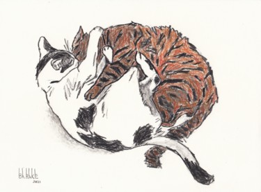 Painting titled "CHATS JOUANT" by Barake Sculptor, Original Artwork, Charcoal