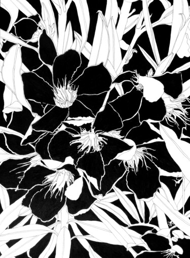 Dessin intitulée "Fleurs d'Espagne" par Sandrine Borgniet, Œuvre d'art originale, Marqueur