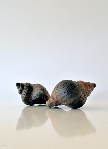 SEAJEWELS "SEAJEWELS" başlıklı Fotoğraf Borgo San Bernardo tarafından, Orijinal sanat, Fotoşopsuz fotoğraf