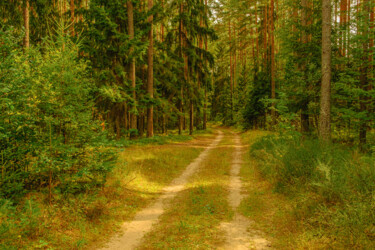 Photographie intitulée "road in the forest" par Boris Belkania, Œuvre d'art originale, Photographie numérique