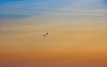 Fotografie getiteld "Sky" door Boris Belkania, Origineel Kunstwerk, Digitale fotografie