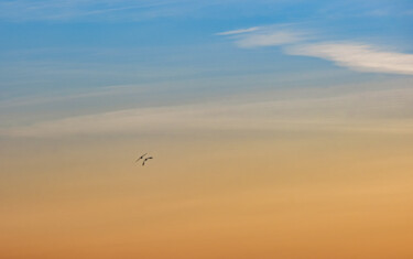 Fotografie mit dem Titel "Sky 2" von Boris Belkania, Original-Kunstwerk, Digitale Fotografie
