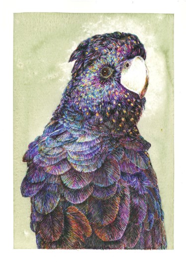 Drawing titled "A Black Parrot" by Borys Kuzenko, Original Artwork, Ballpoint pen