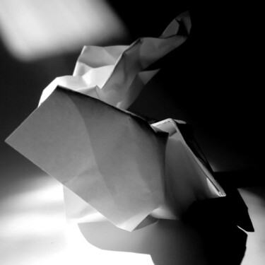 Fotografía titulada "Papier en lumière" por Boris Barbey, Obra de arte original, Fotografía digital