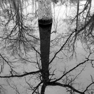 Фотография под названием "Le pied dans l'eau" - Boris Barbey, Подлинное произведение искусства, Цифровая фотография
