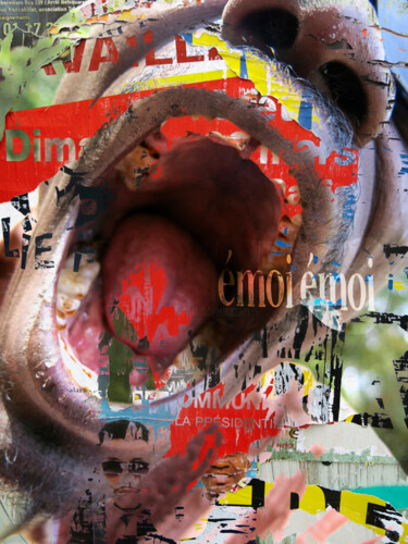 Fotografía titulada "L"ULTIMO GRIDO " (l…" por Borrel, Obra de arte original, Fotografía digital Montado en Cartulina